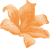 Orange Flower
